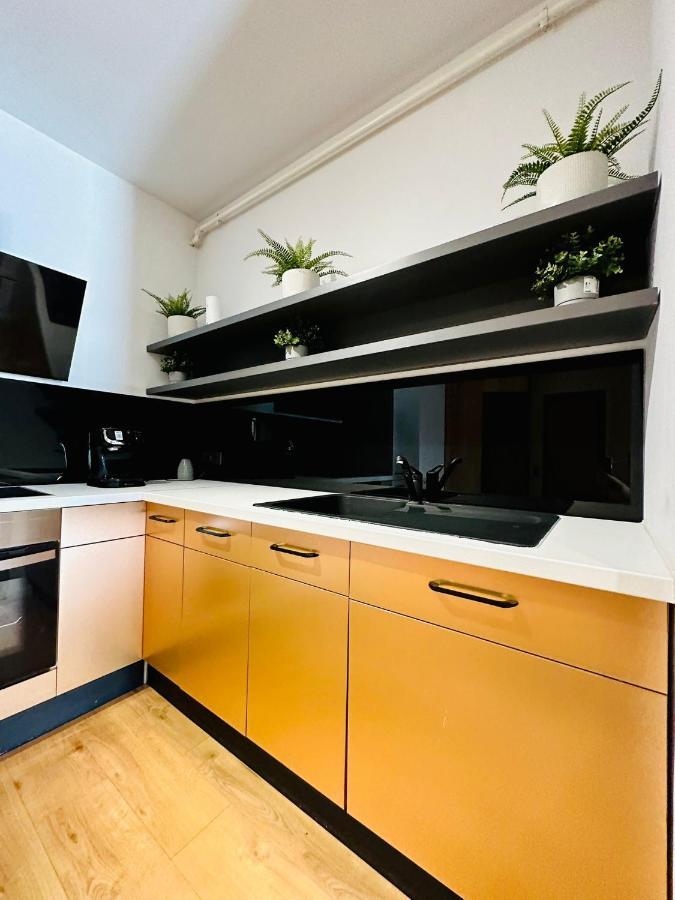 Kharisma Apartment-Free Parking-Ultracentral Κλουζ-Ναπόκα Εξωτερικό φωτογραφία