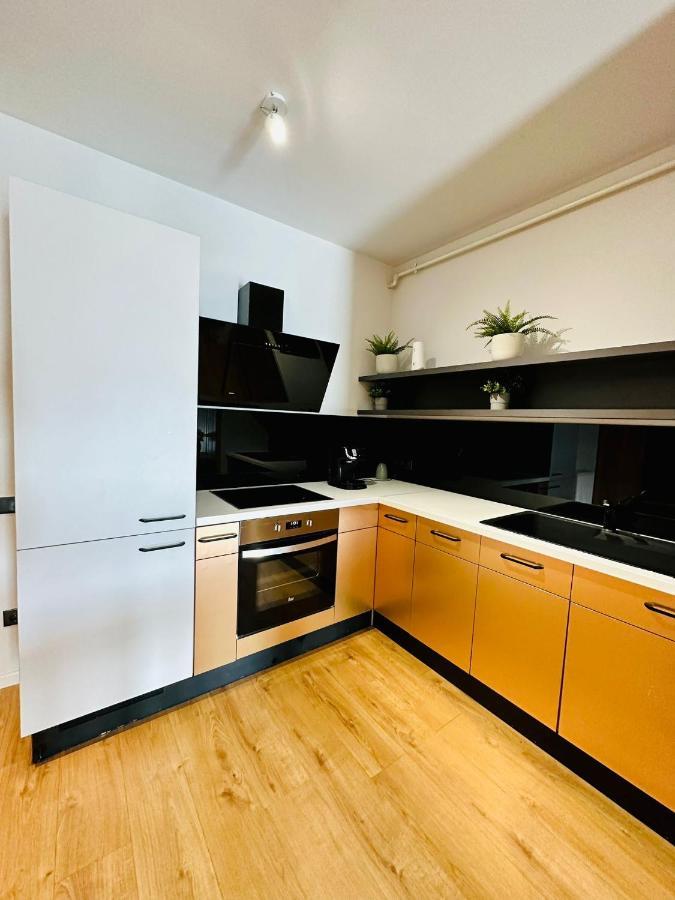 Kharisma Apartment-Free Parking-Ultracentral Κλουζ-Ναπόκα Εξωτερικό φωτογραφία